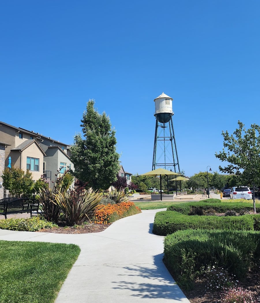 Panhandle Park 1