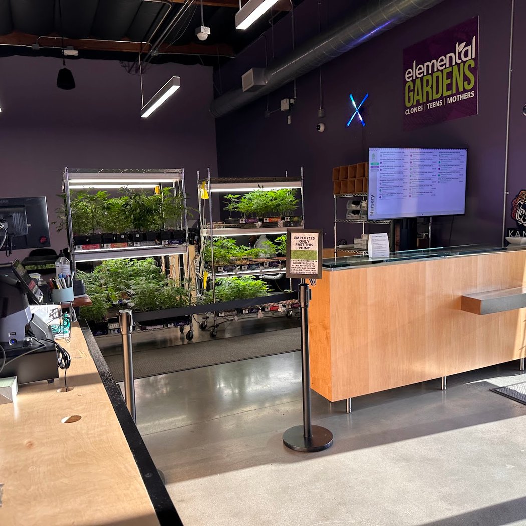 Elemental Wellness Cannabis Dispensary San Jose 2