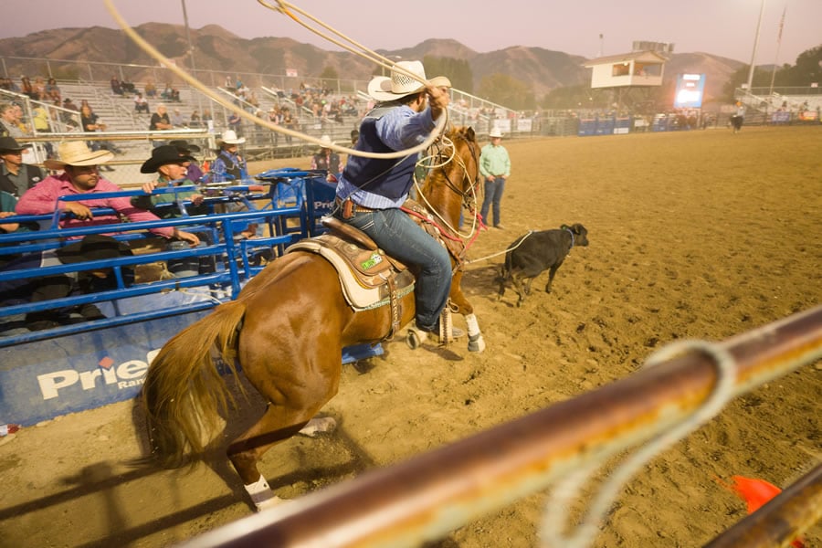 USU Stampede Rodeo 3