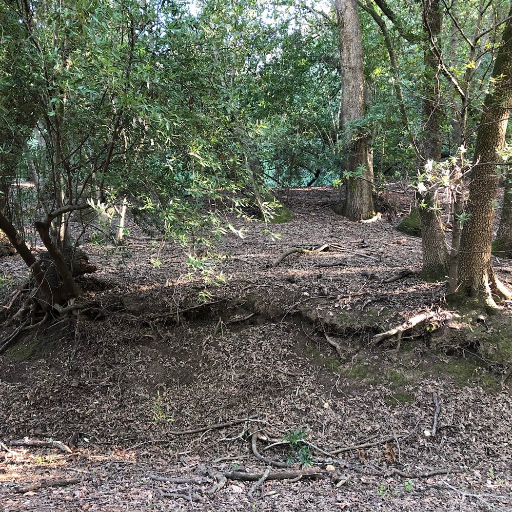 Timberhill Park 3