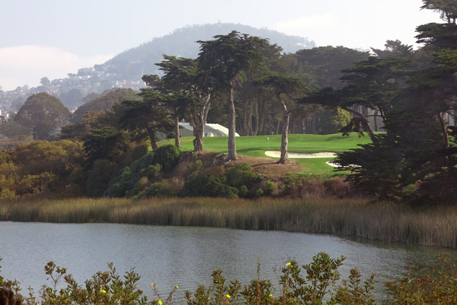 TPC Harding Park 3
