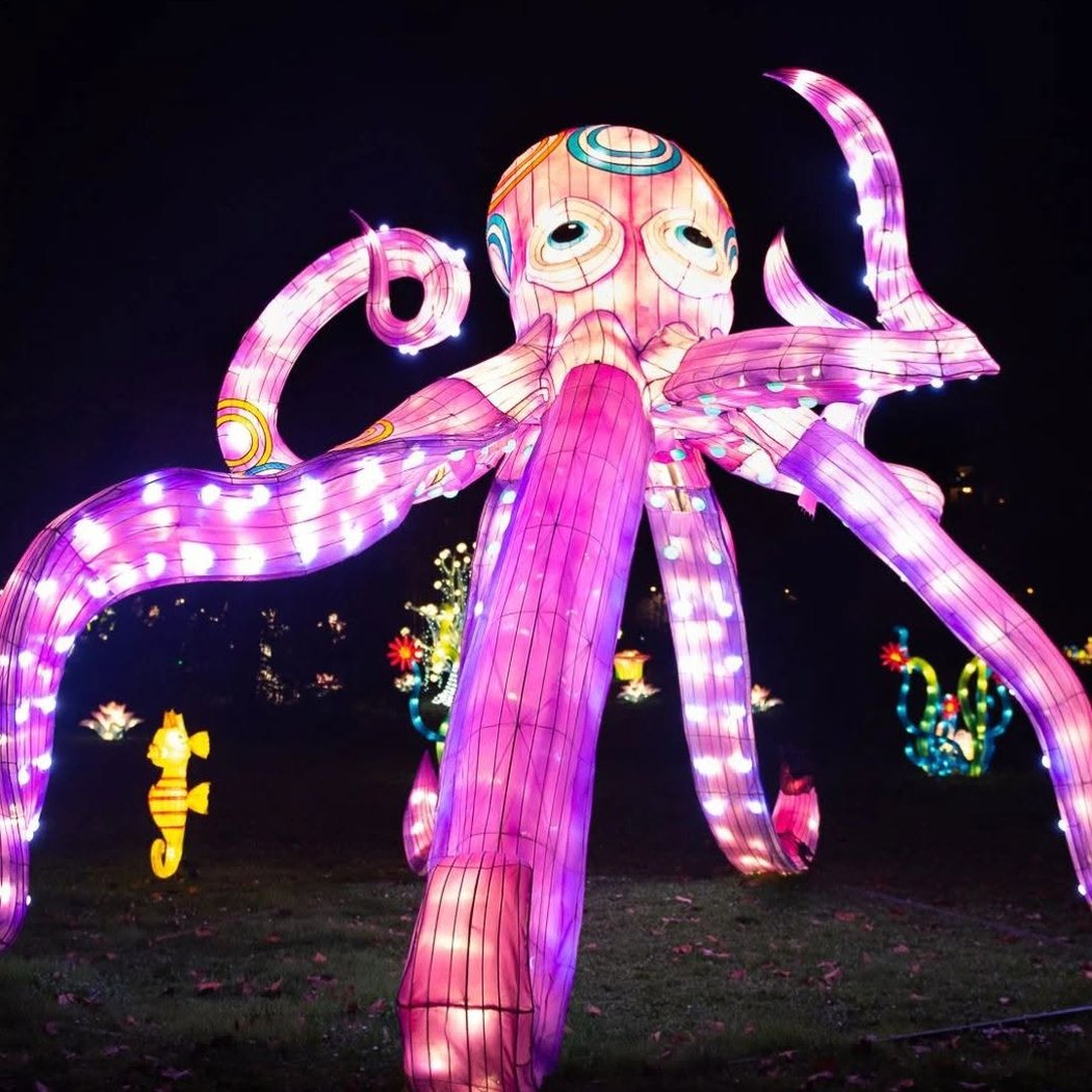 Le plus grand parcours lumineux de Paris 3