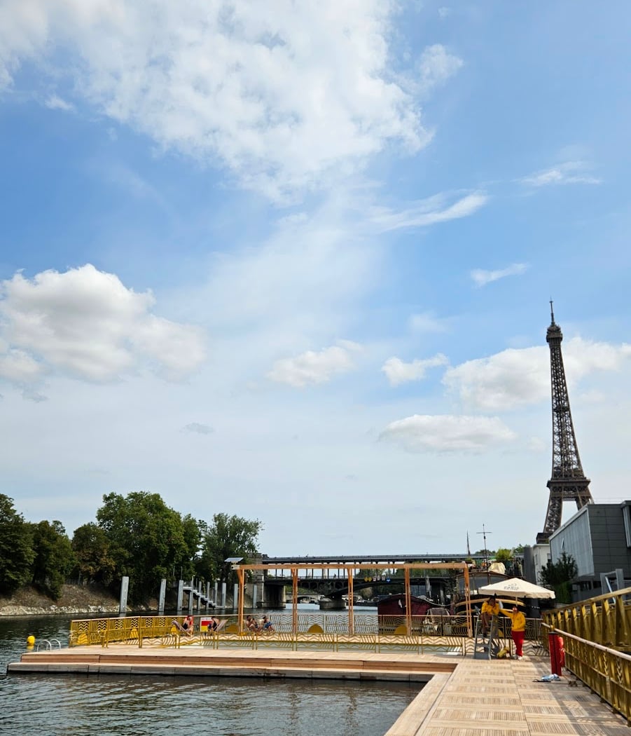 Swimming in the Seine 1