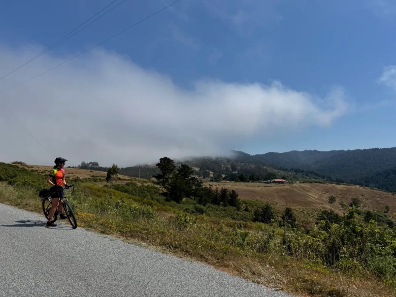 Pescadero Creek Park 2