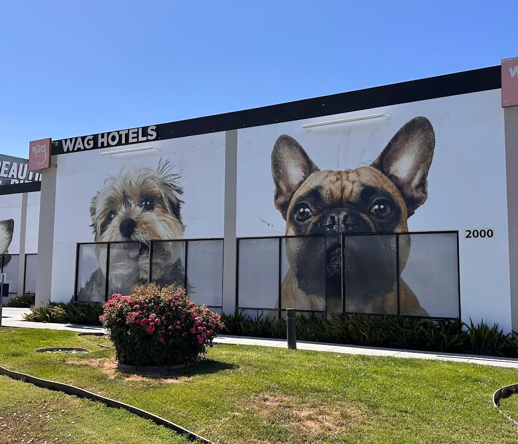Wag Hotels - Santa Clara 3