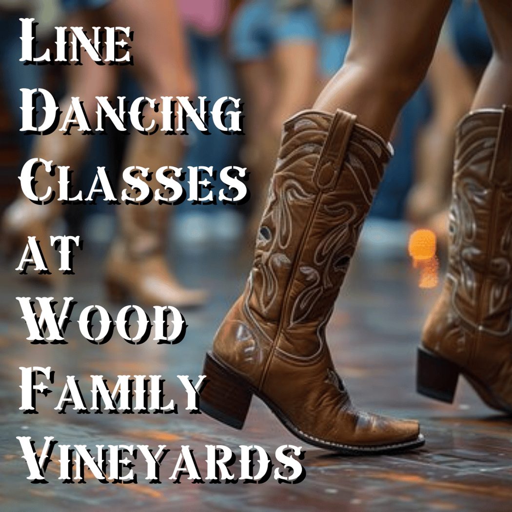 Line Dancing Class 1