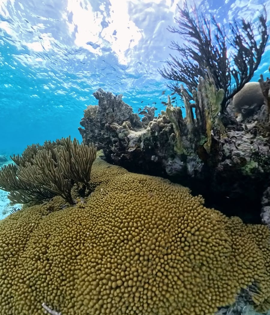 Klein Bonaire 3