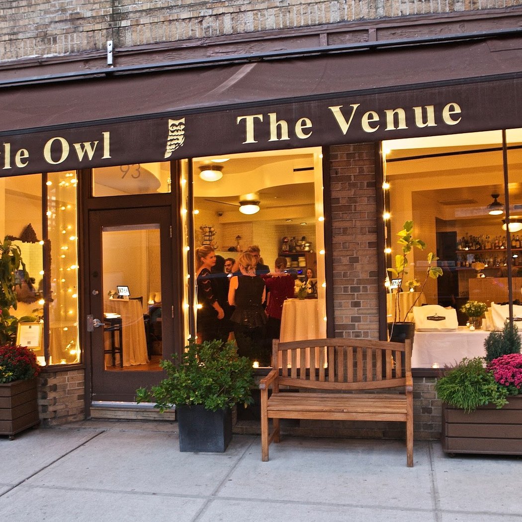 Little Owl The Venue 3