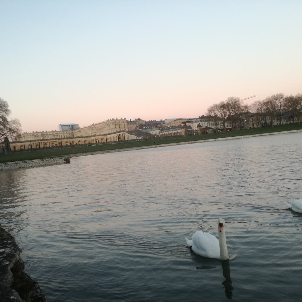 Picnic Area - Lake of The Swiss Guards 3