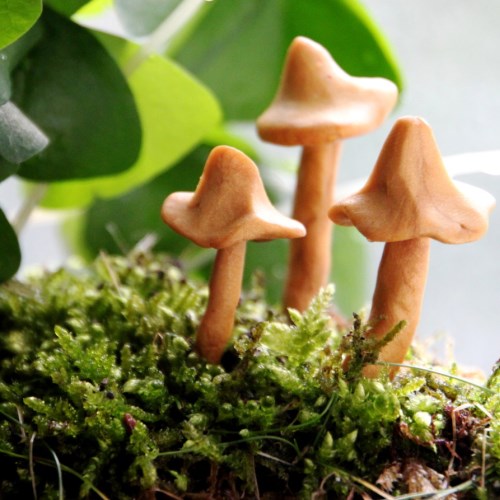 Oaks and Acorns: Leprechaun Garden 1