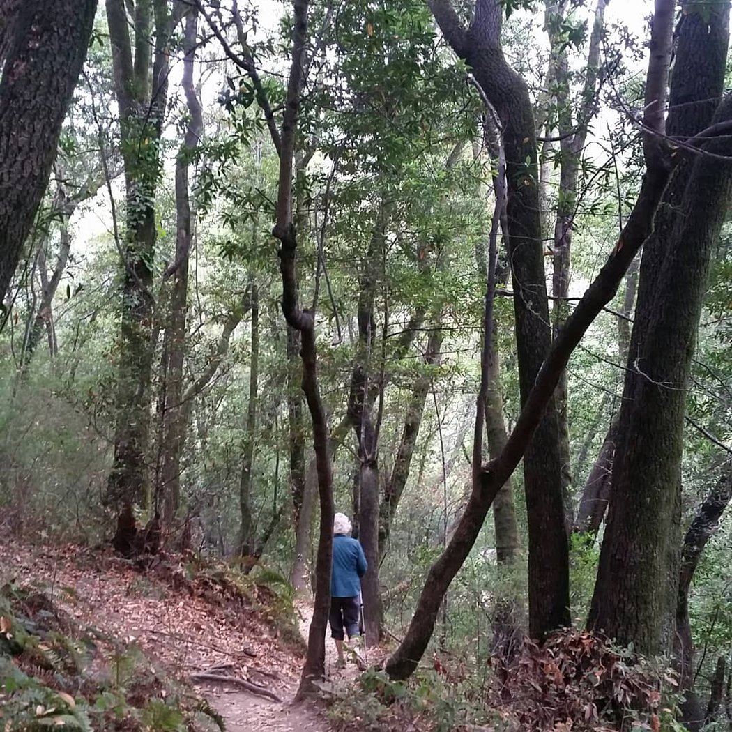 Alto Bowl Preserve 3