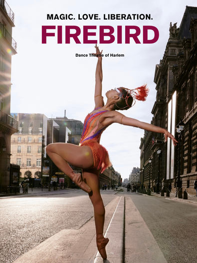 FIREBIRD 1