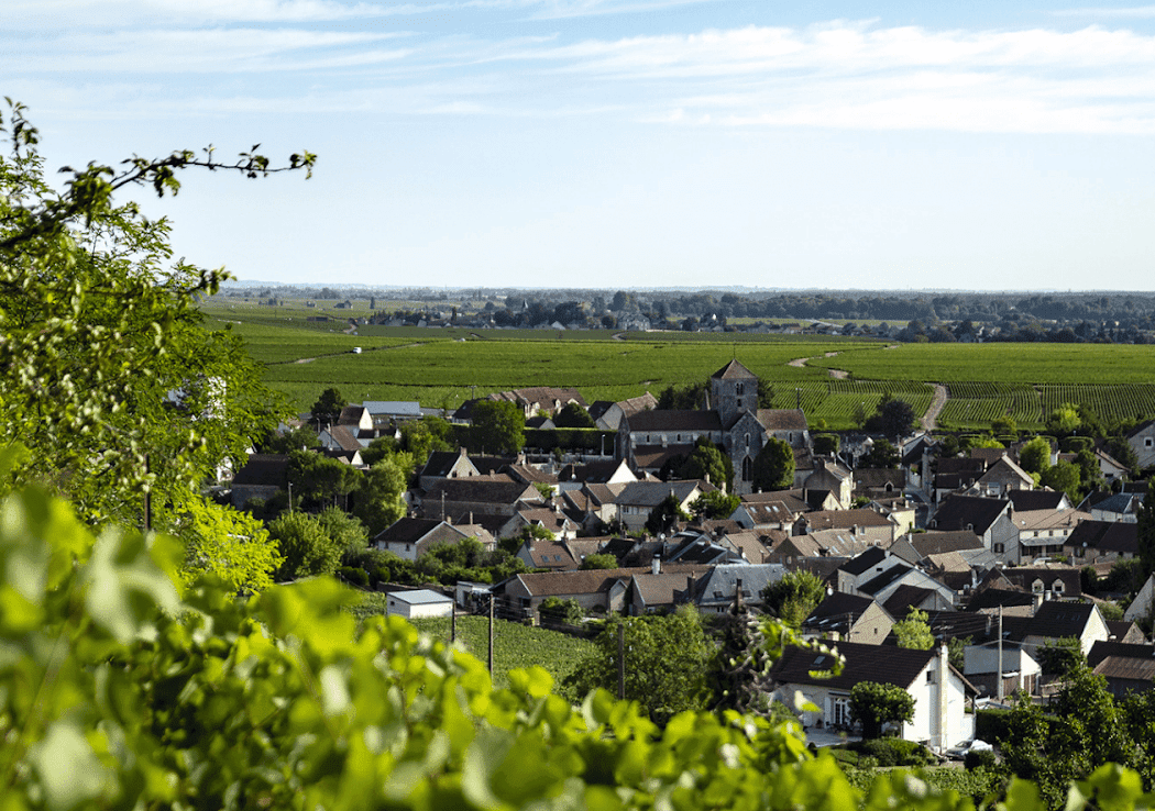 Les Vins de Carole 2