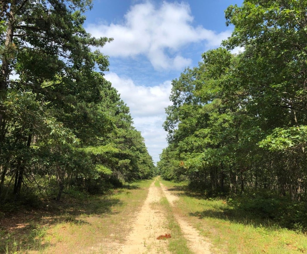 Greenbelt Trail 1