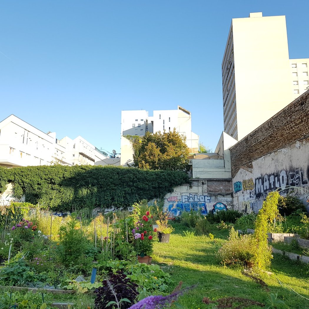Jardins Solidaire d'Ivraie 3
