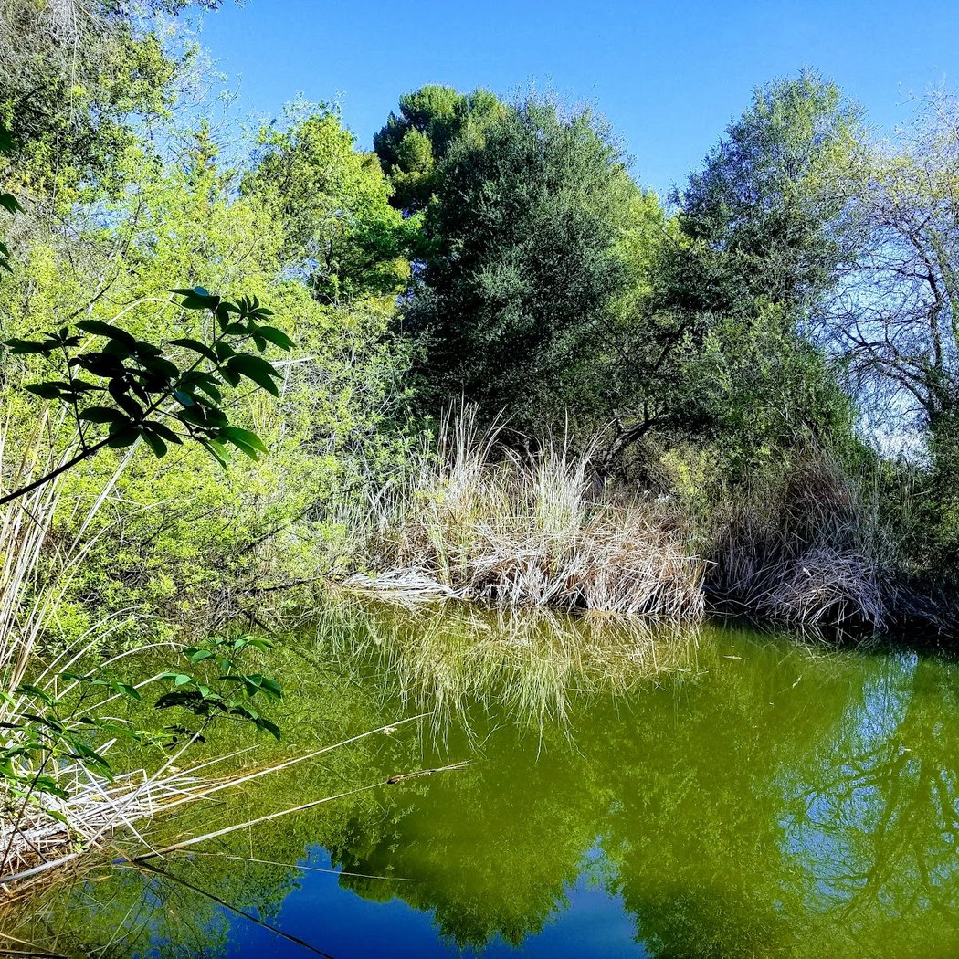 Bryan Osborne Nature Center 3