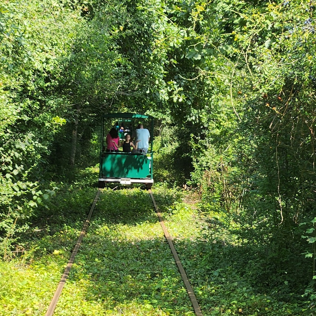 Vélorail de la Vallée de la Juine - Railvert 1