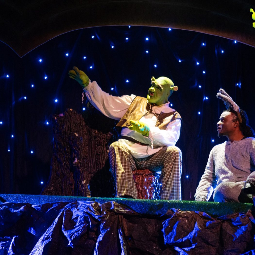 Shrek The Musical 2