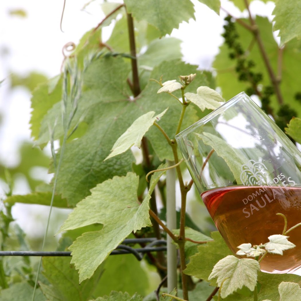 Domaine des saulaies 1