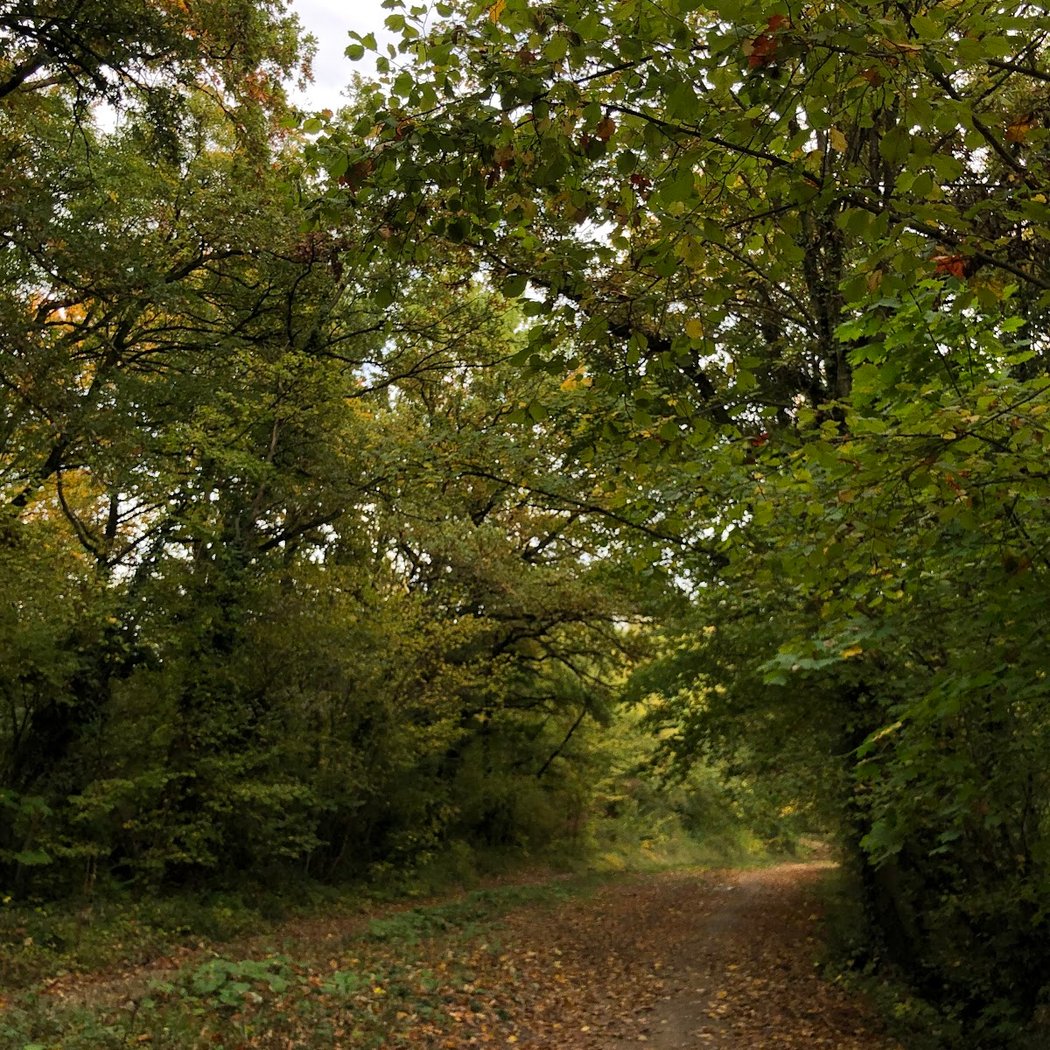 Promenade de la Dhuis 1