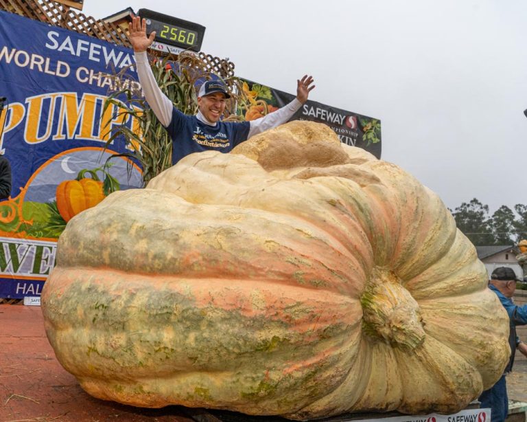 HMB Art & Pumpkin Festival 2
