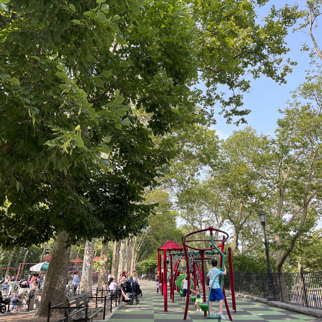 Catbird Playground 3