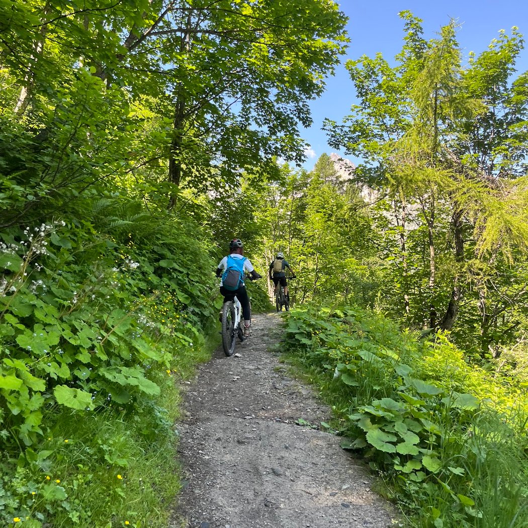 ⚡️ CHAMONIX Mountain Experience – E-bike & MTB Guide 3