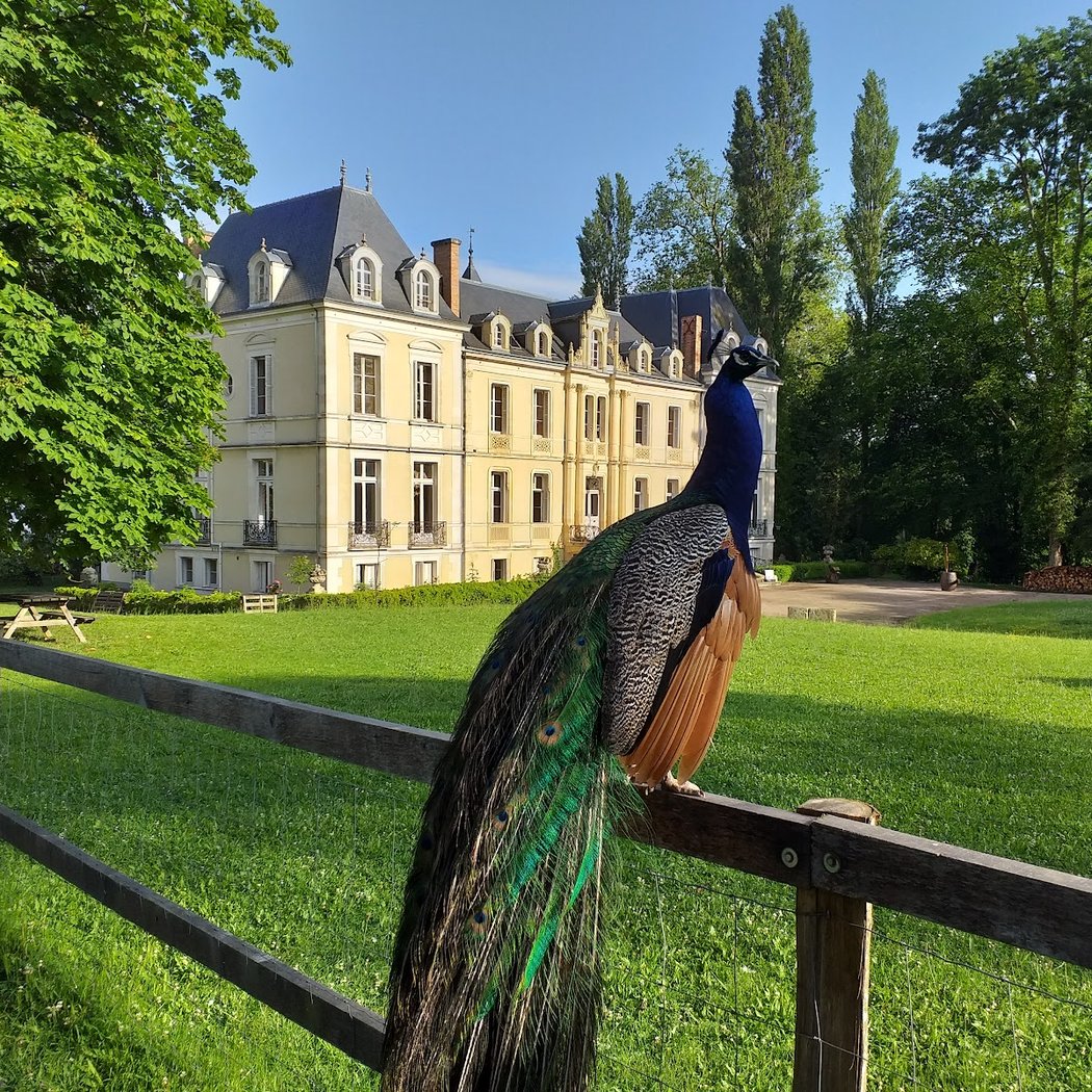 Ferme pédagogique de Ouézy 1