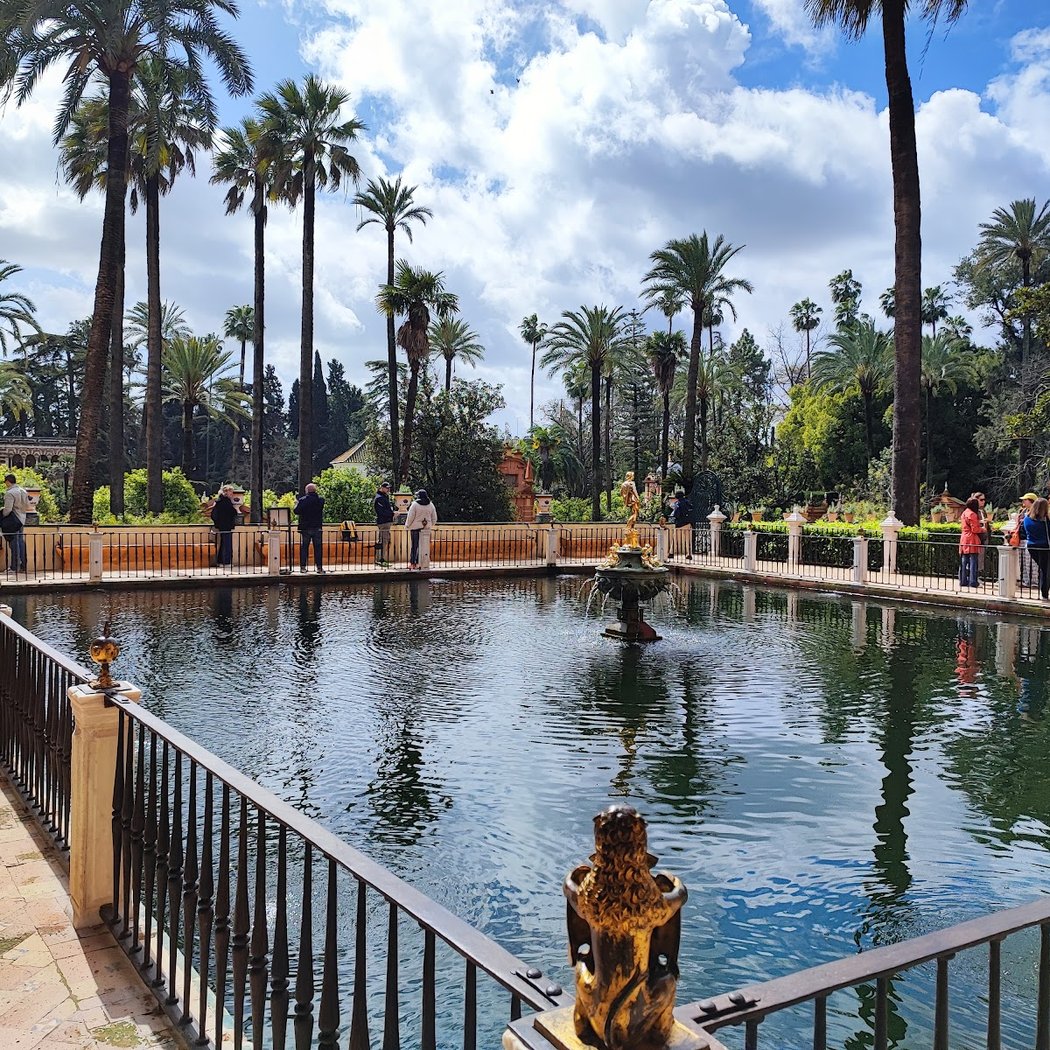 Pancho Tours Sevilla 3