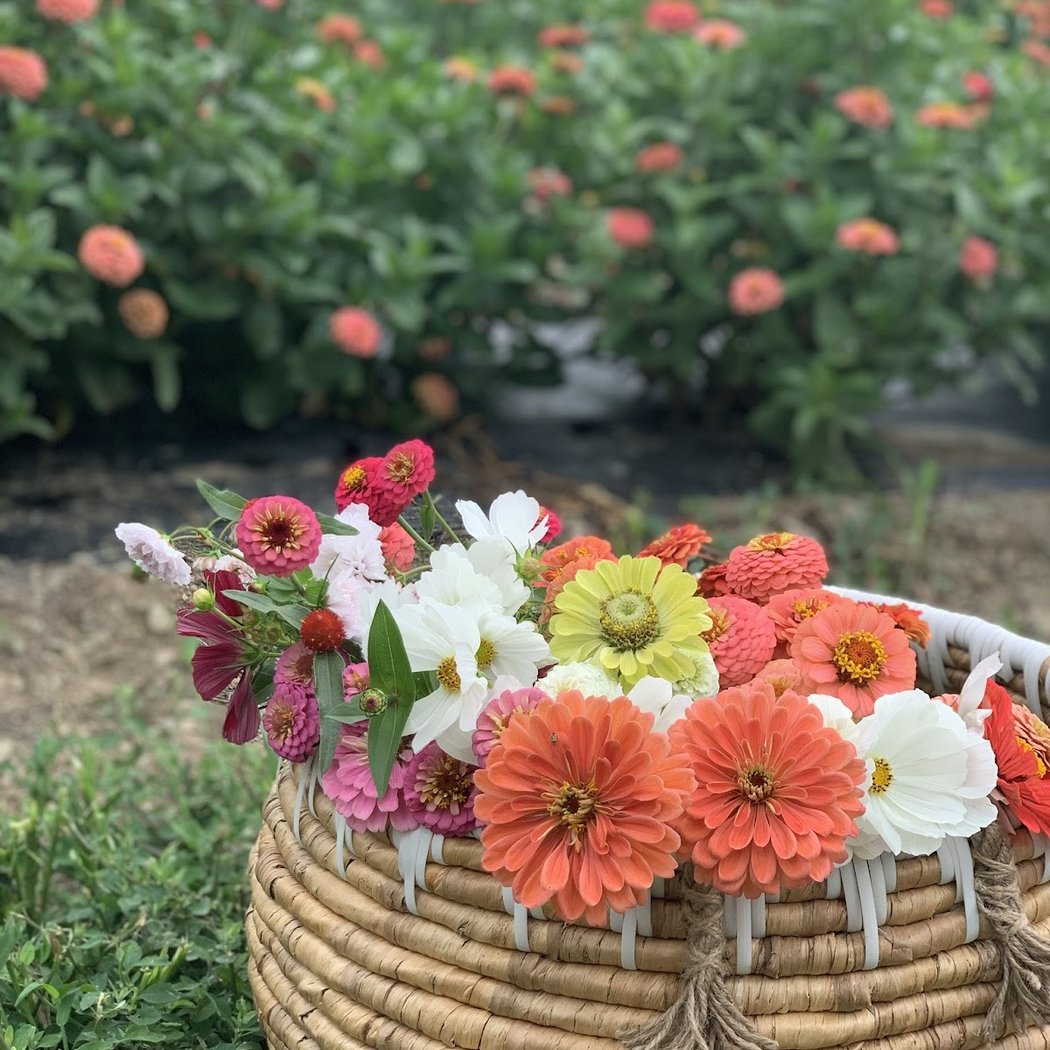 Flower Arranging 1