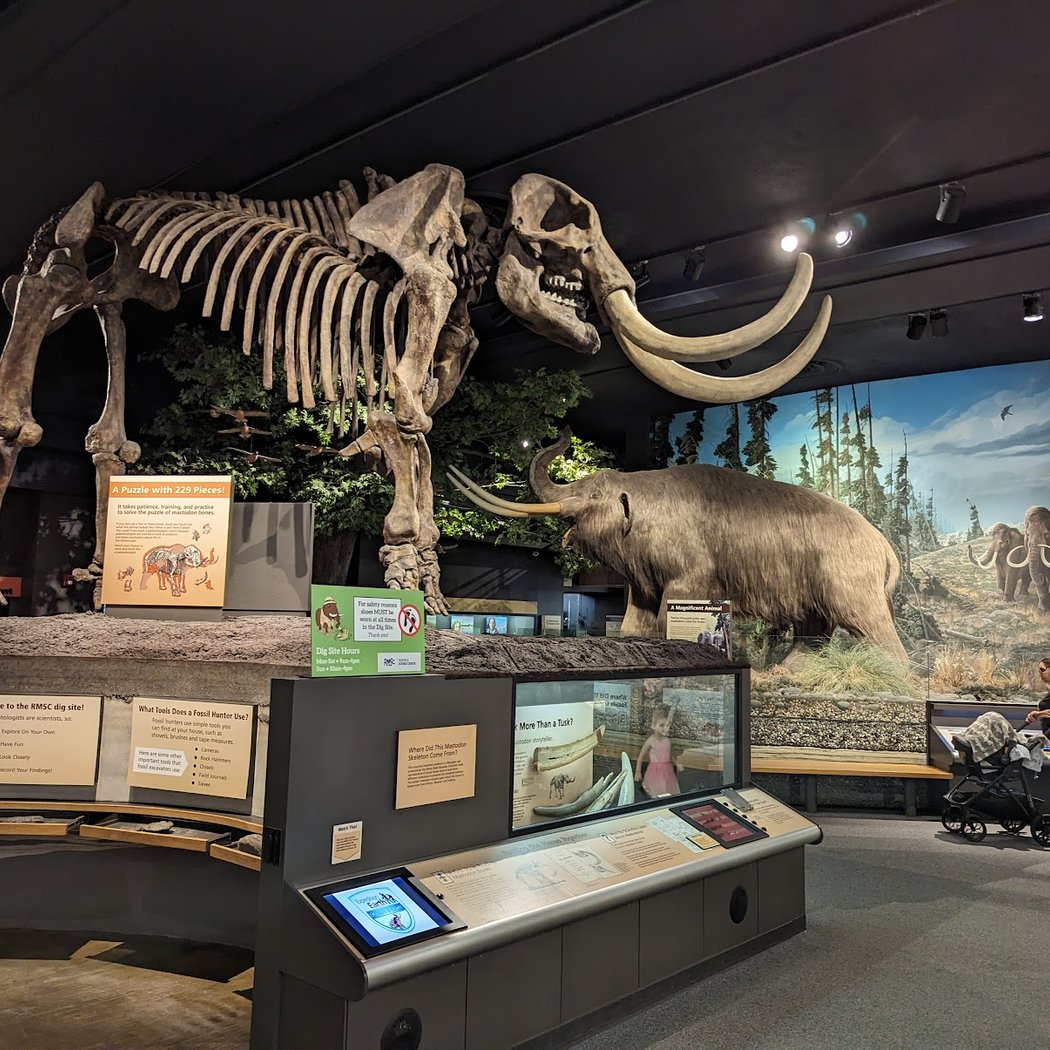 RMSC (Rochester Museum & Science Center) 2