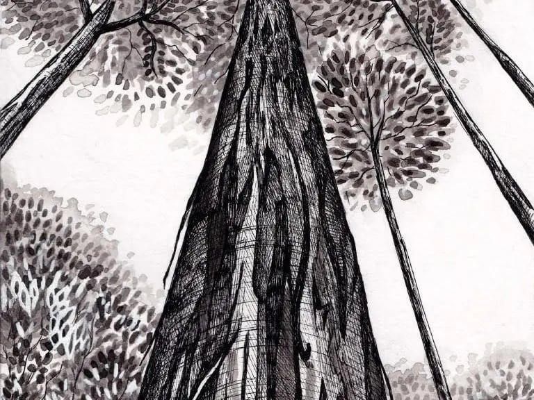 Arbres-Mondes 2