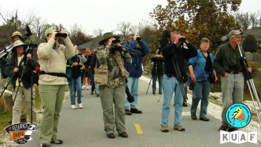 Birding Walk 2