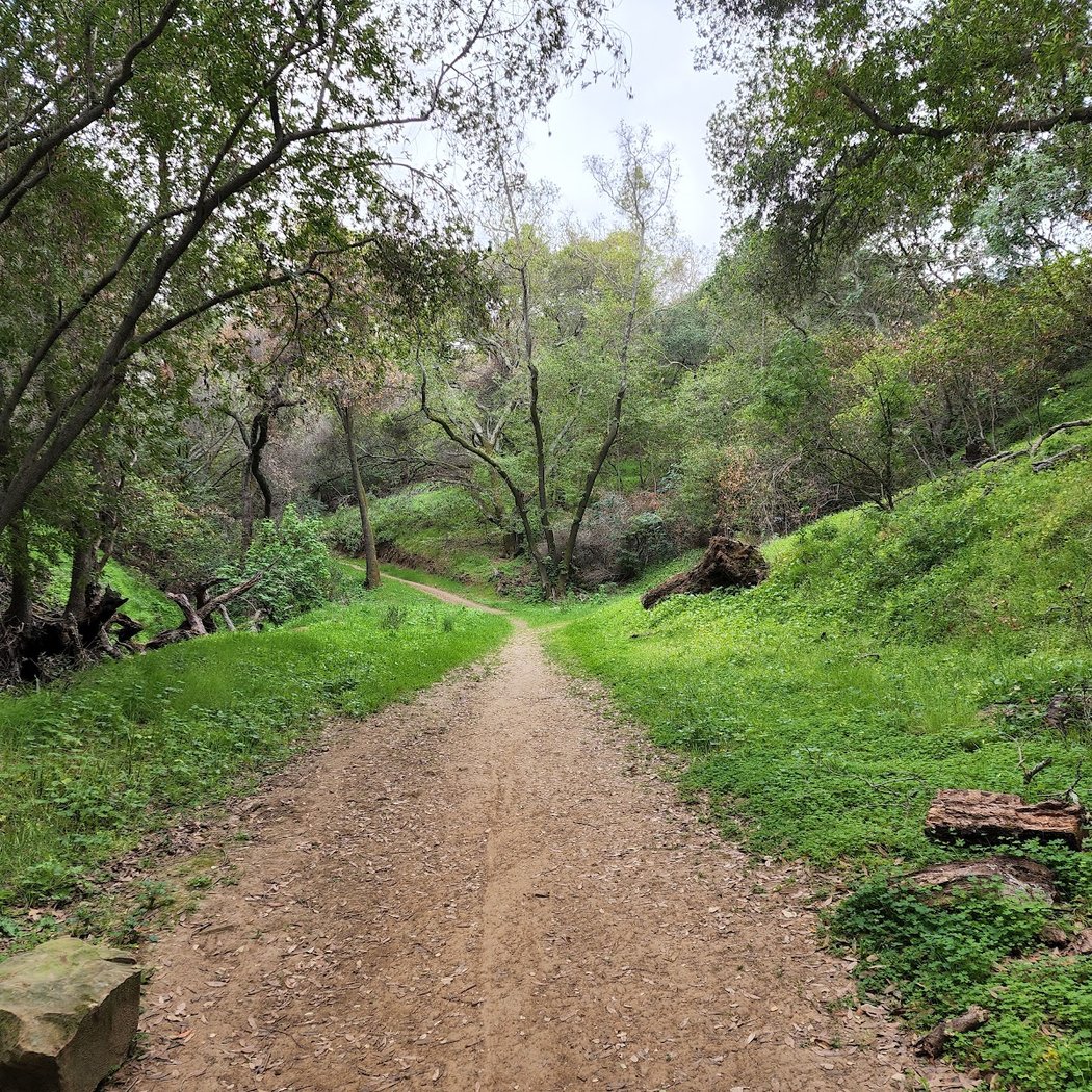 Rankin Park 1