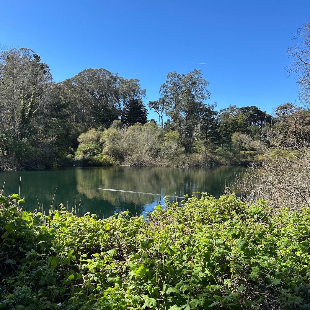 Chain of Lakes Meadow 3