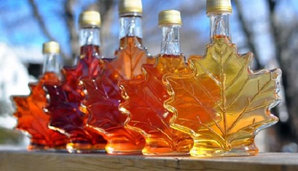 Maple Sugaring Family Workshop 1