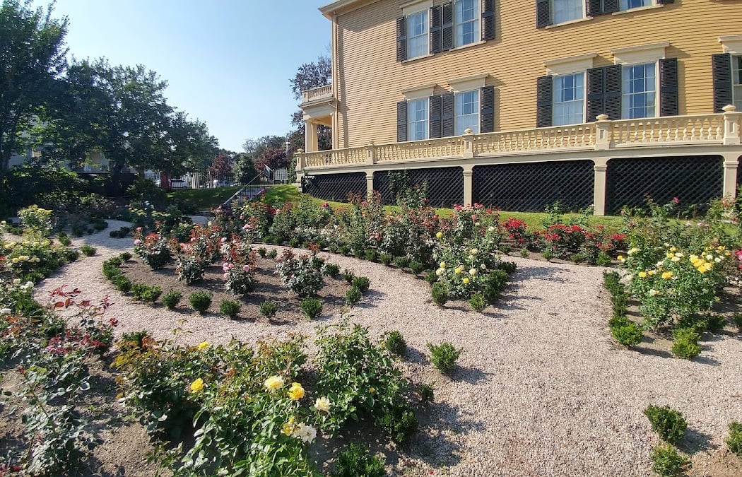 Garden Serenade 3