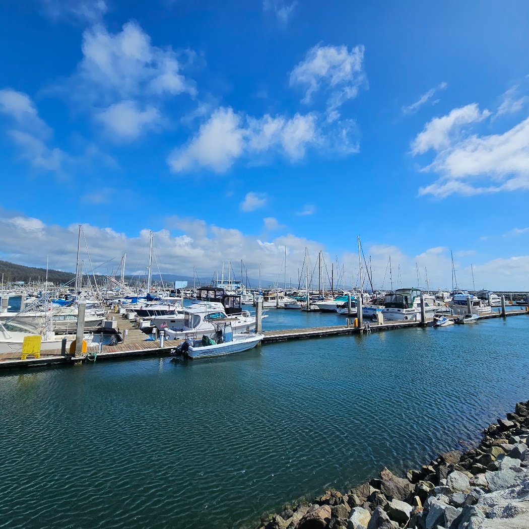 Pillar Point Beach 3