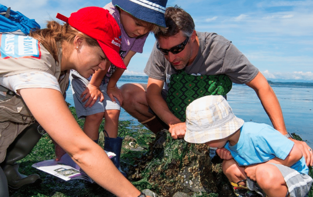 Beach Naturalist Program 1