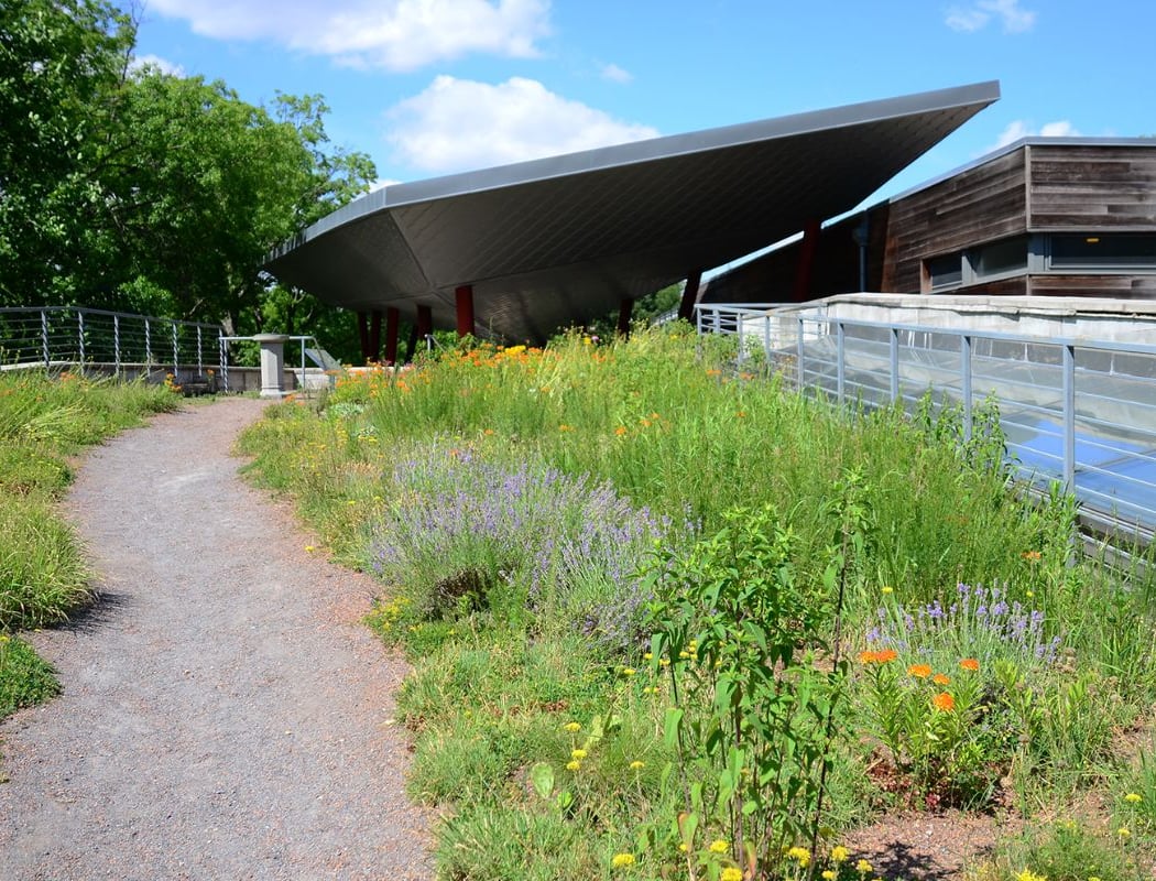 Queens Botanical Garden 3