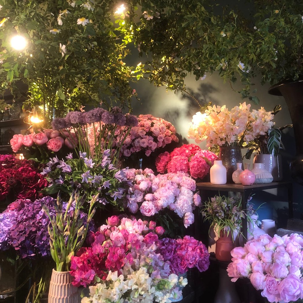 Oz Garden 1