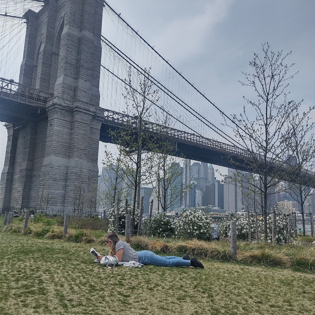 Brooklyn Bridge Park Dog Run 2