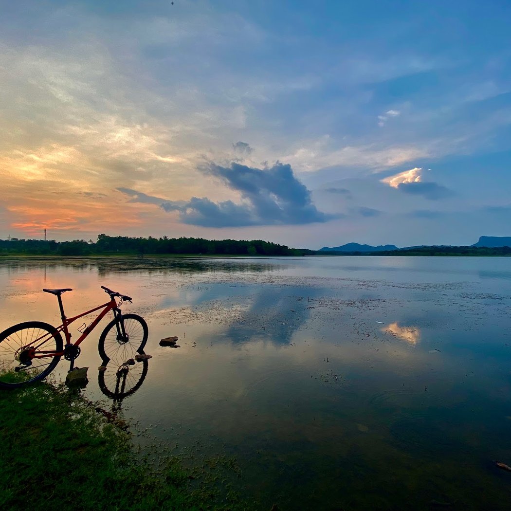 Pedal in Tandem 1