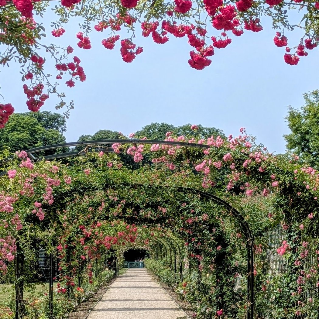 Rendez-vous aux Jardins 1