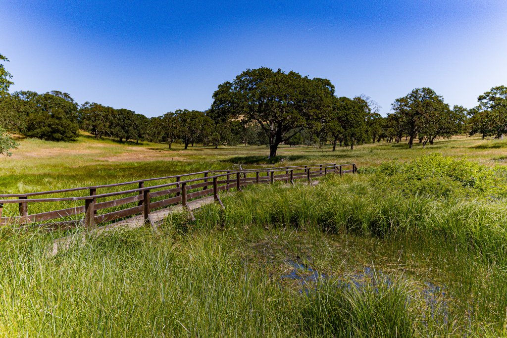 Rockville Hills Regional Park 2