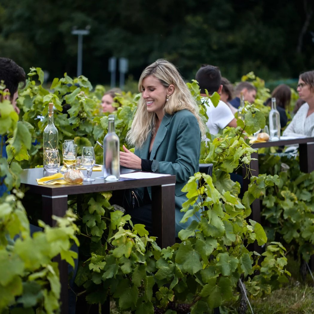 Le Dîner au Clair de Lune : une parenthèse gastronomique sous les étoiles 1