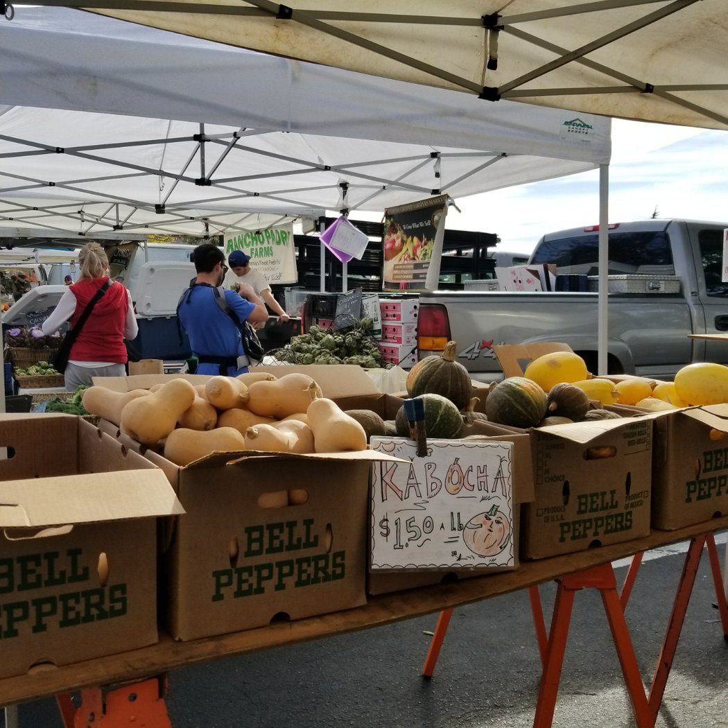 Aptos Farmers Market at Cabrillo College 3