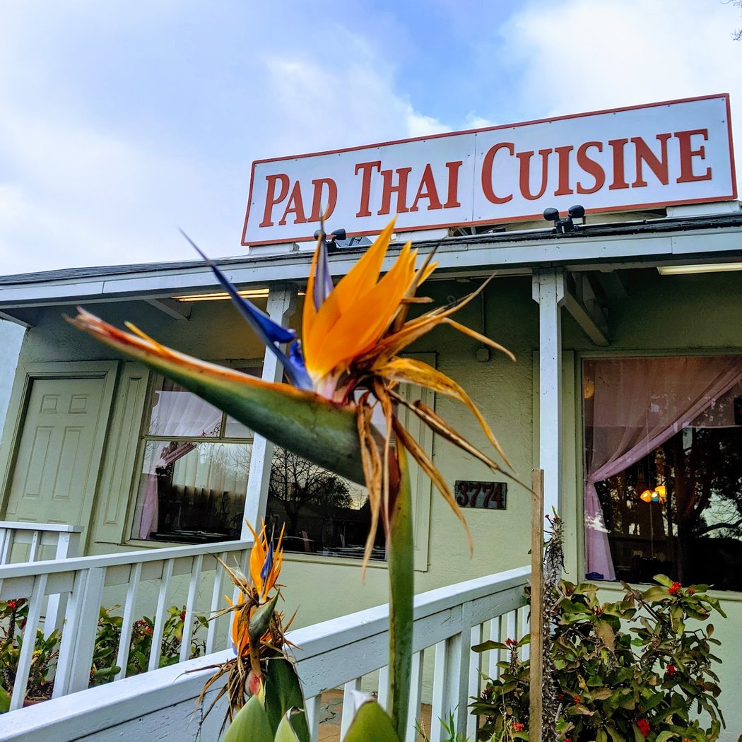 Pad Thai Cuisine 2