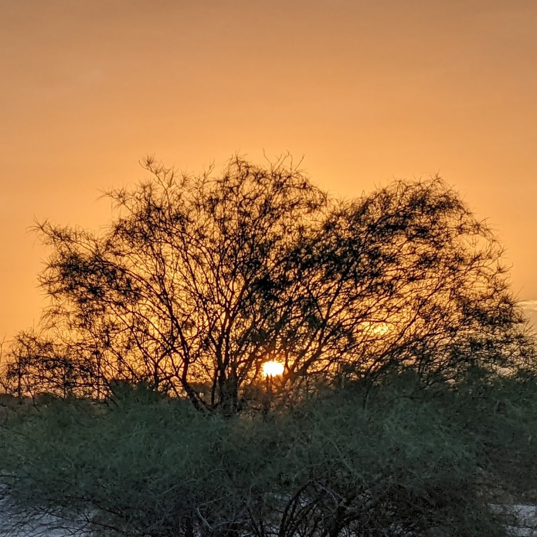 Santa Cruz River Park - Irvington Access 3