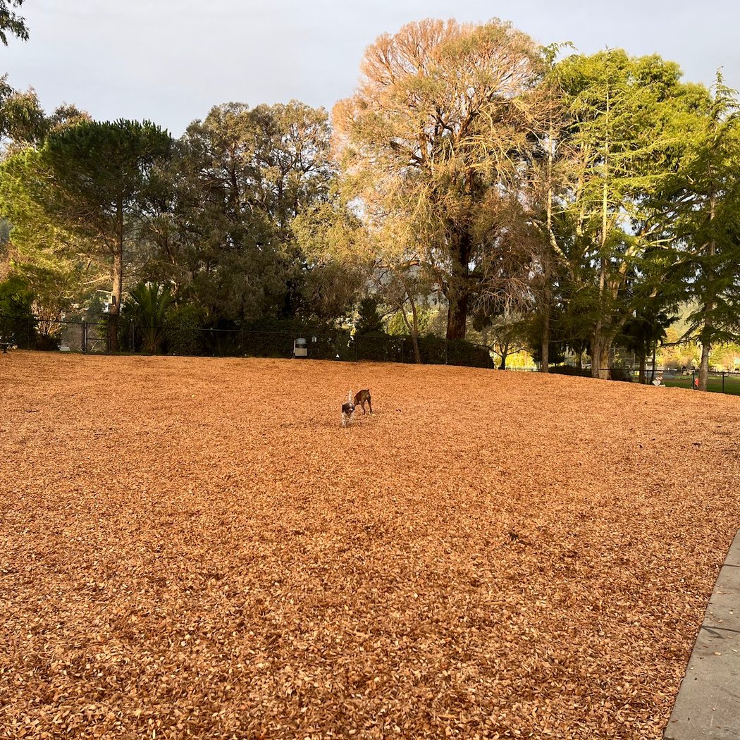 Corte Madera Dog Park 1